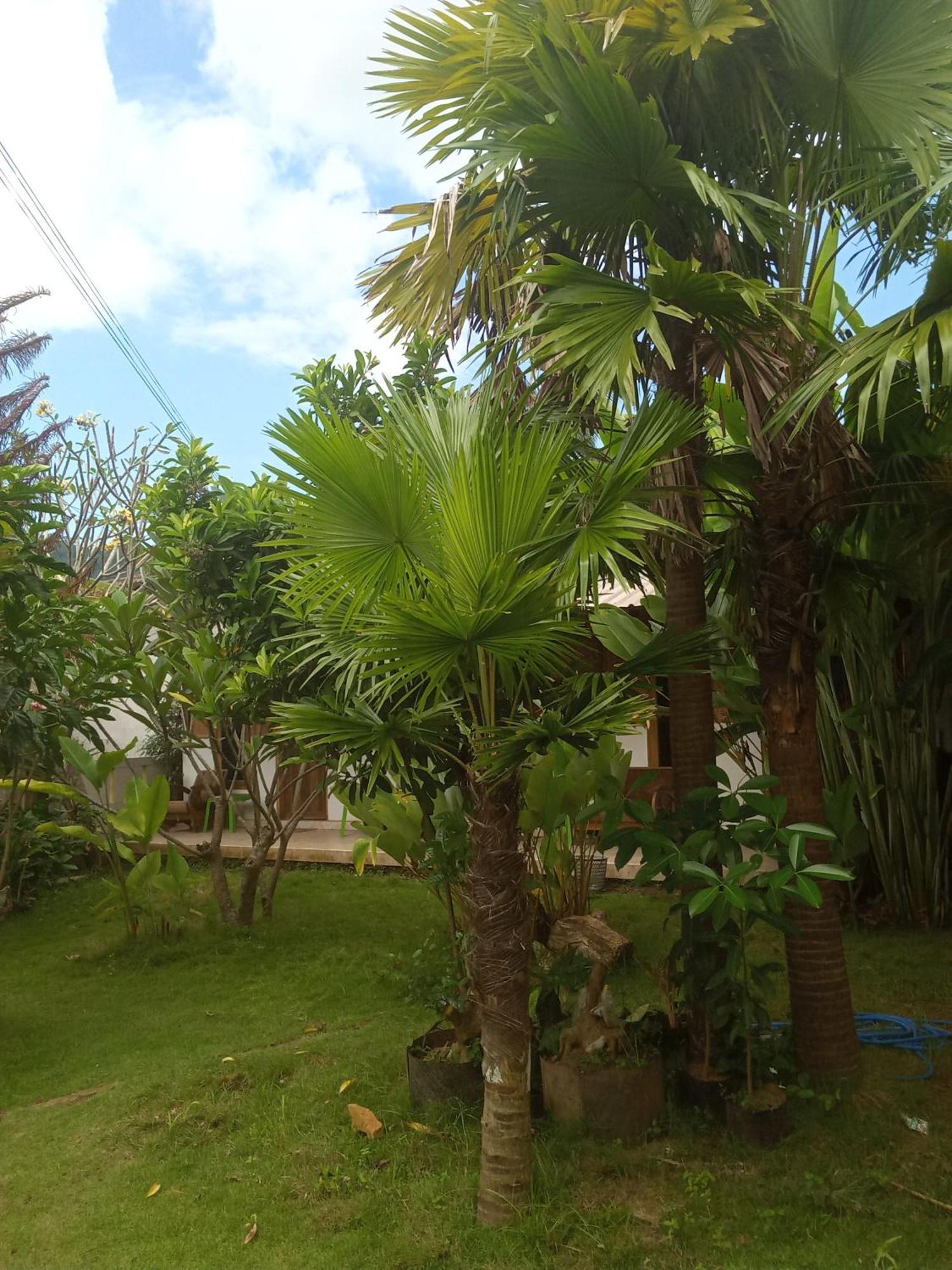 Hendro's Surf Camp Pulau Merah Privatunterkunft