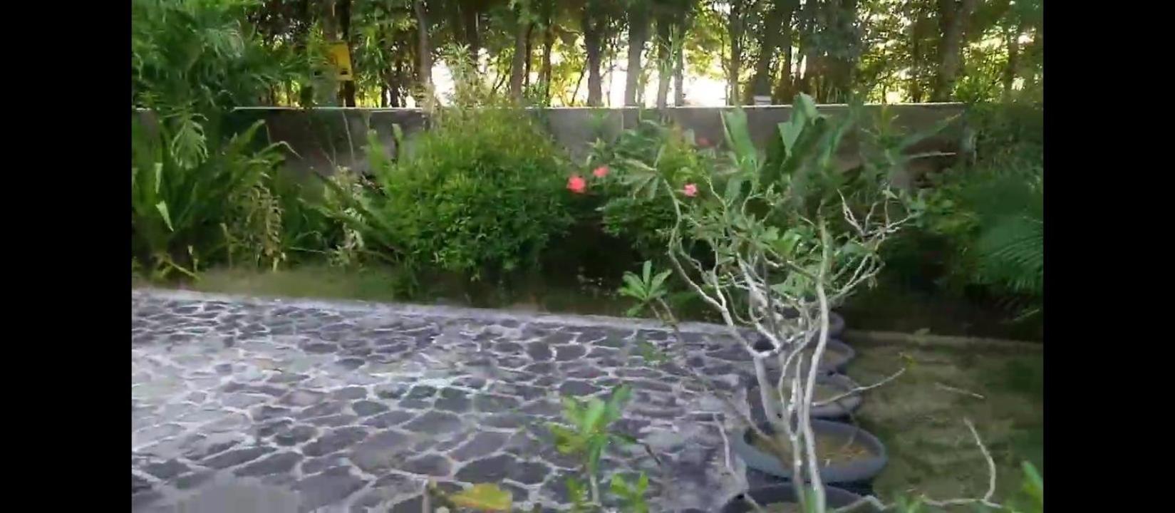 Hendro's Surf Camp Pulau Merah Pasanggaran